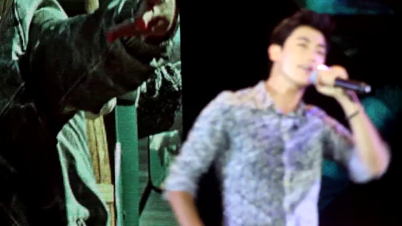 130720 박형식 ParkHyungsik 상하이 금산 지브라 뮤직 페스티발 : 헤어지던날
