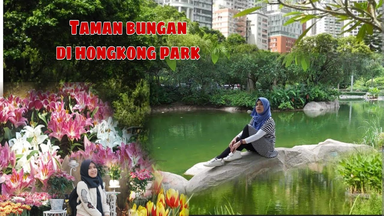 TAMAN BUNGA INDAH DI HONGKONG PARK || KEREN TAMAN BUNGA HONGKONG PARK  #admiraltypark #hongkongpark