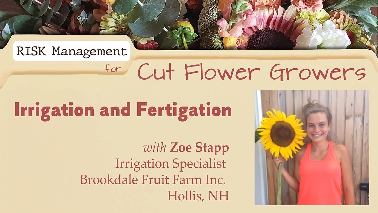 Irrigation and Fertigation with Zoe Stapp of Brookdale Fruit Farm Inc.