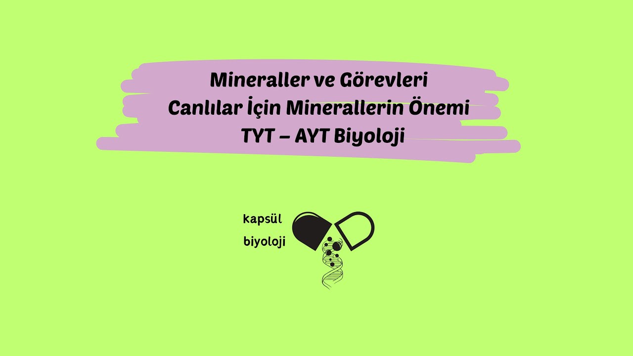 Mineraller ve G&ouml;revleri | Canlılar İ&ccedil;in Minerallerin &Ouml;nemi | TYT &ndash; AYT Biyoloji