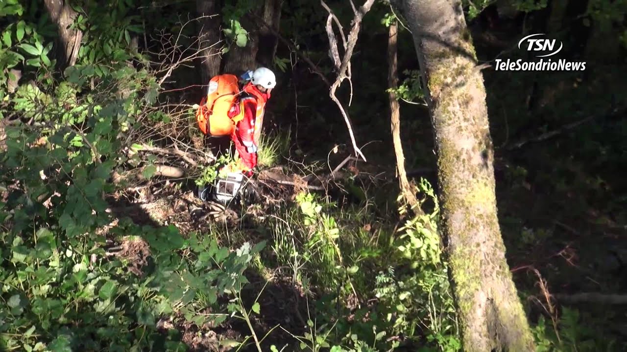 Ponte. Taglialegna precipita nel bosco- è grave