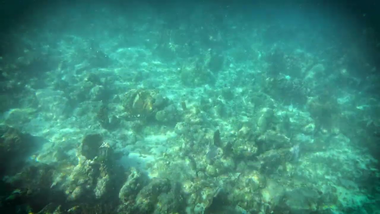 Epic Tetrix – More Sauce Please | Underwater Groove Session (BVI)