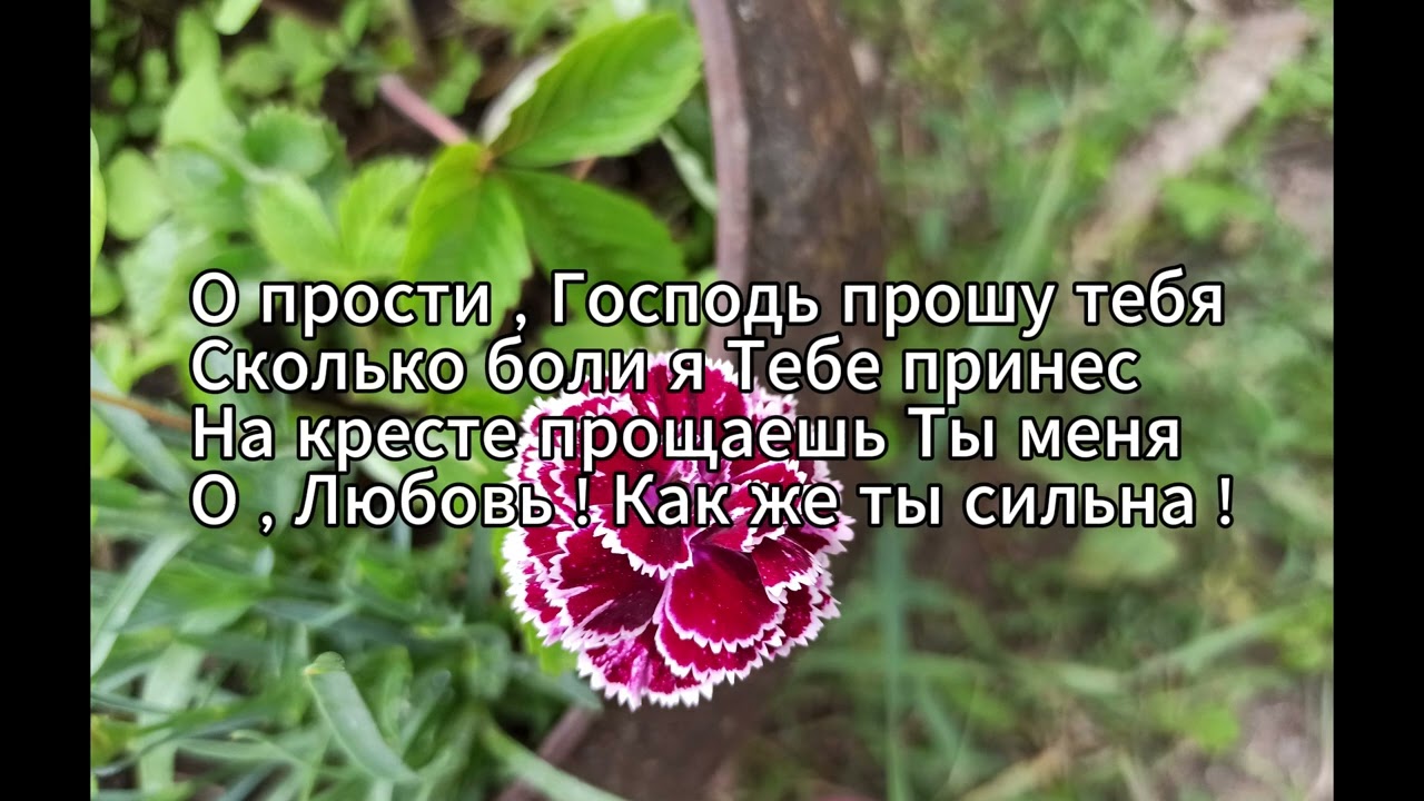 Любовь с Голгофы