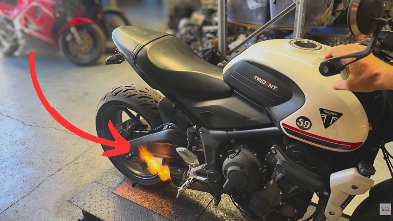Triumph Trident TEC Fang 3-1 Full Stainless Carbon Exhaust System sound rev idle