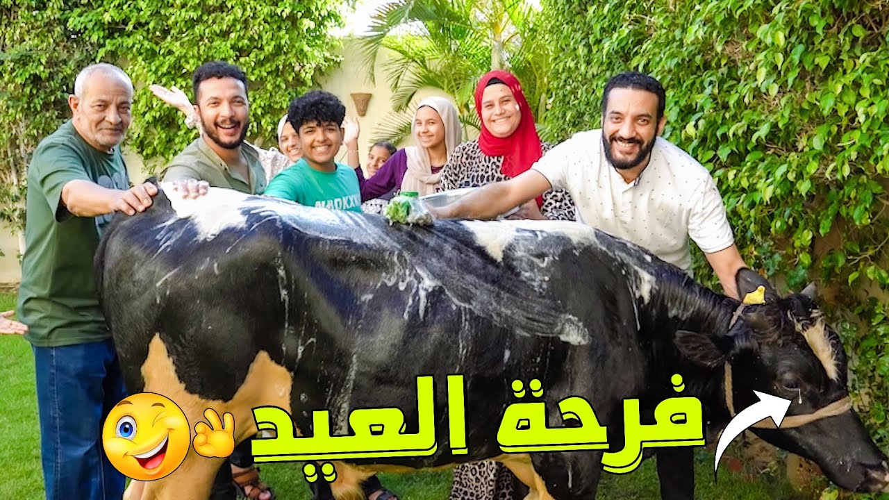 العجل مشمش🐄روقنا عليه ليلة العيد🎉( فاجأت امي اتصدمت😜 )