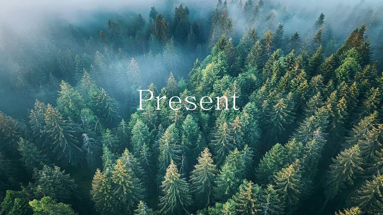 Present | Calm Piano (Focus • Reading • Study)