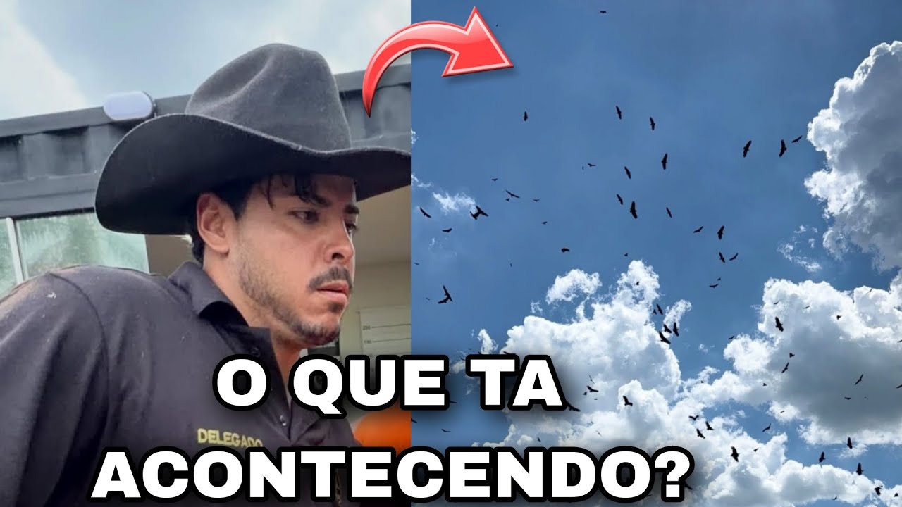 🚨 URGENTE RENATO GARCIA FICA COM MEDO COM ISSO QUE ESTA ACONTECENDO NA FAZENDA 🚨 