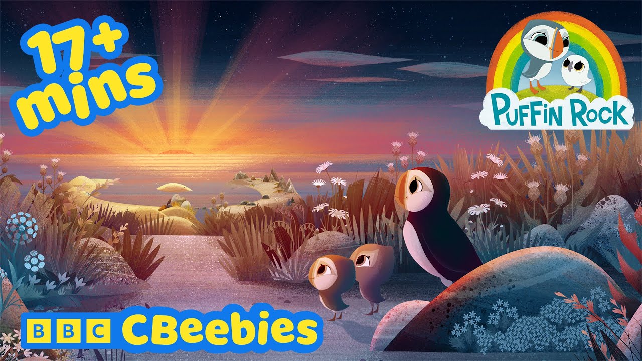Sleepy Seaside Adventures 🌊 | Puffin Rock Compilation | CBeebies