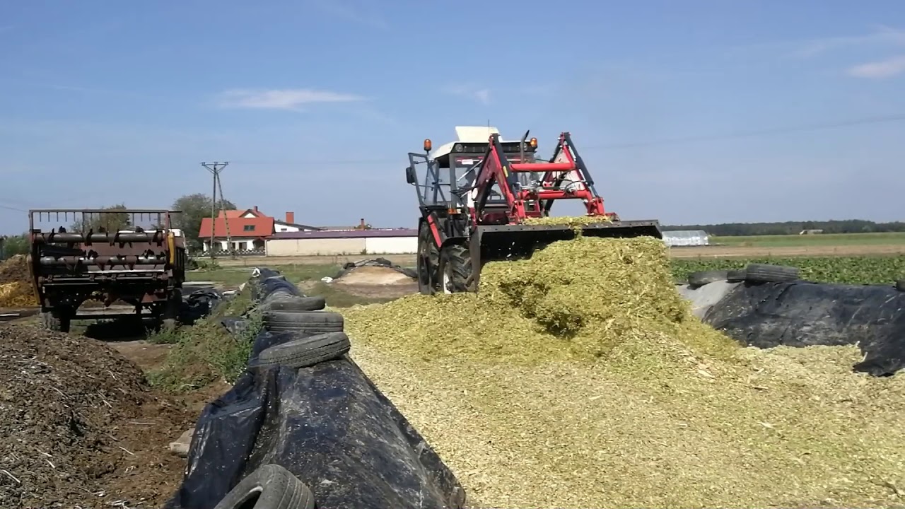 URSUS C360-3P + PÖTTINGER MEX GT oraz ZETOR 7745  W AKCJI KUKURYDZA 2019