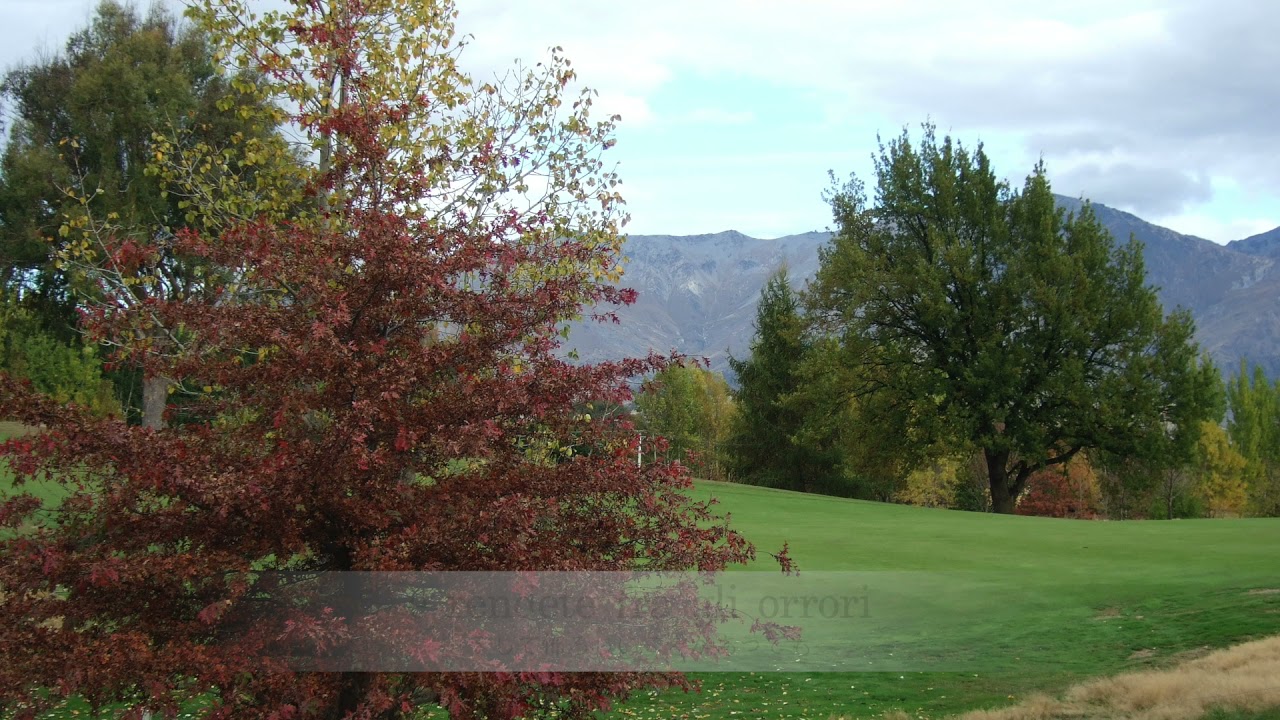 静かな憩いのうちに　Con tranquillo riposo　パスクイーニ　B.Pasquini　テノール　井原義則　ピアノ　猪子杏奈