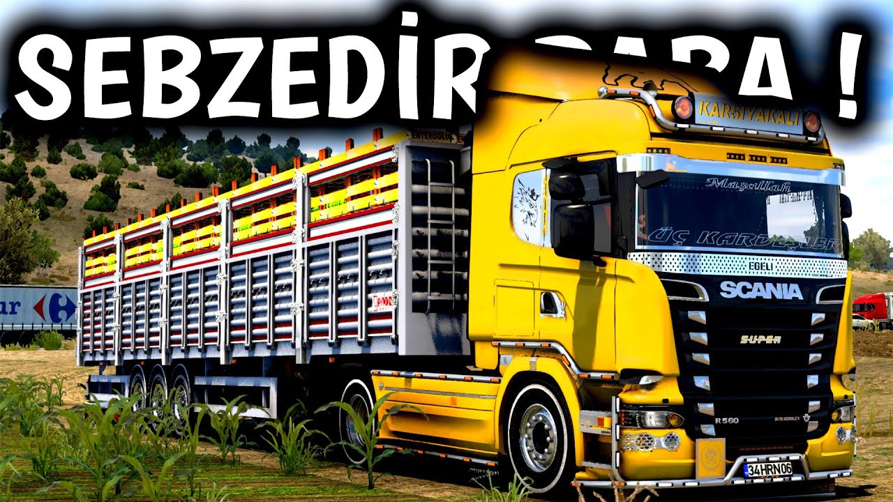 SEBZE JETİ ! FAÇA TIRLA KAZA YAPTIK ETS 2 MOD
