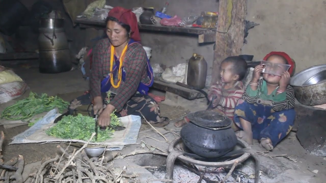 Myvillage official videos EP 277 || Daily activities in village
