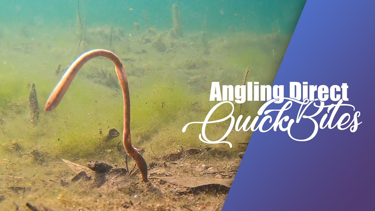 So bindest du ein auftreibendes Wurm-Rig - AD Quickbite
