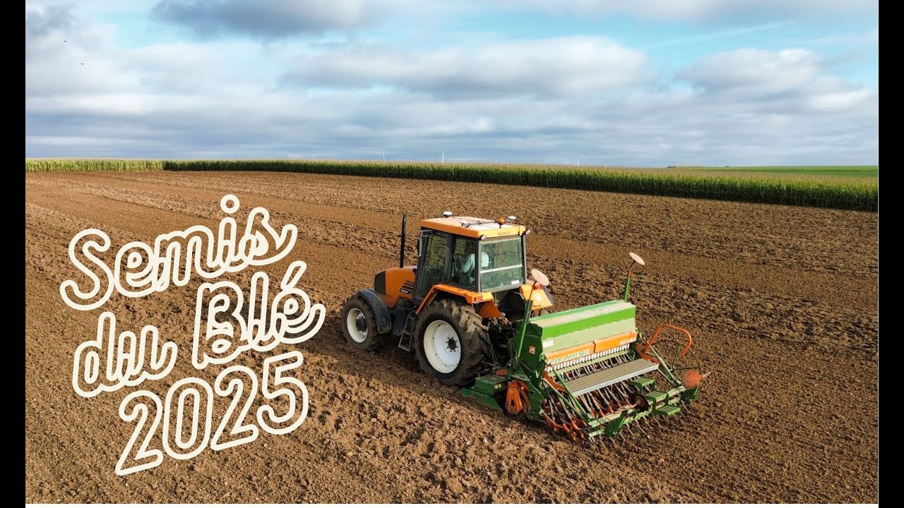 SEMIS du BLE 2025 avec un RENAULT TEMIS 630 et un combiné AMAZONE AD302