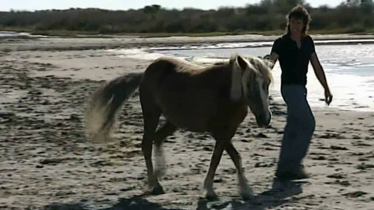 MUSTANG SALLY - CHRIS NORMAN -  https://www.youtube.com/watch?v=rOi63pHFGmY