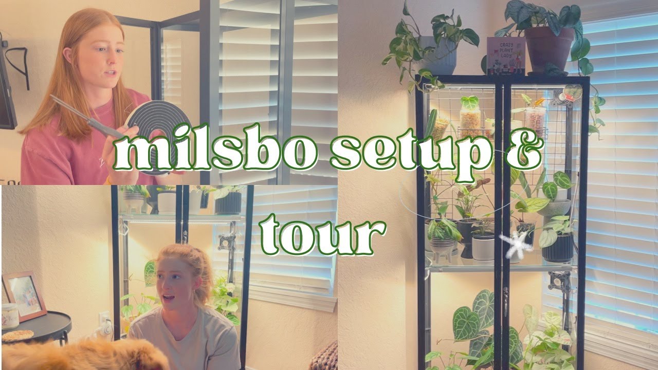 My Ikea Milsbo Cabinet Setup & Tour | Ikea greenhouse cabinet, Milsbo tour, rare plant tour