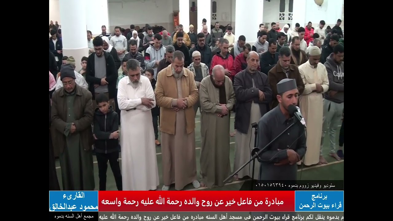 الشيخ محمود عبدالخالق