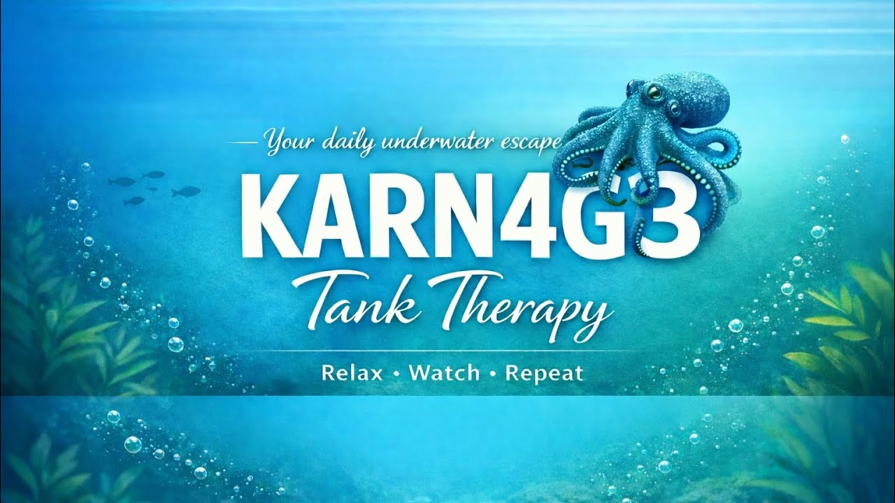 Tiny Ocean Escape, Blink & You’re Relaxed