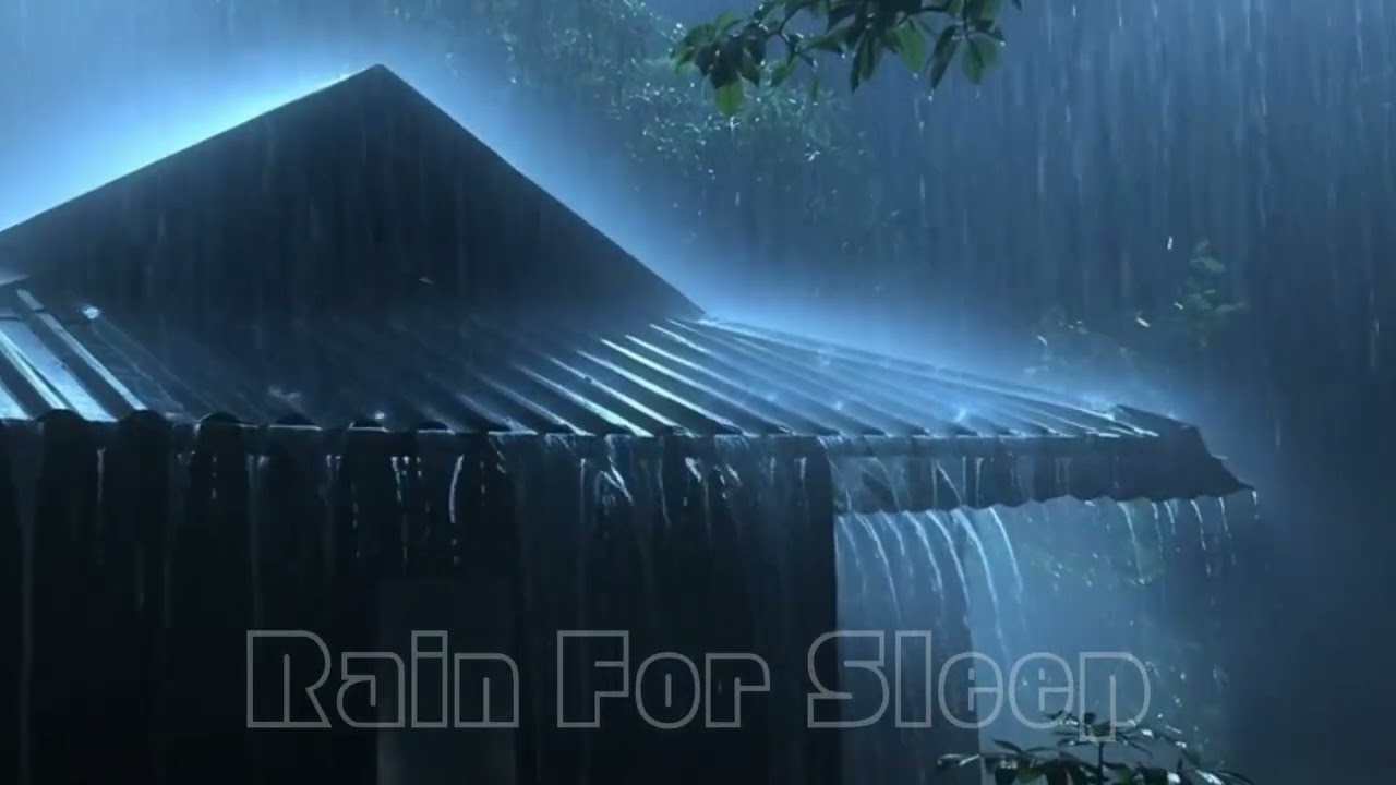Goodbye Insomnia with Heavy Rain & Thunder Growls on a Stale Tin Roof in Foggy Murky Forest at Night
