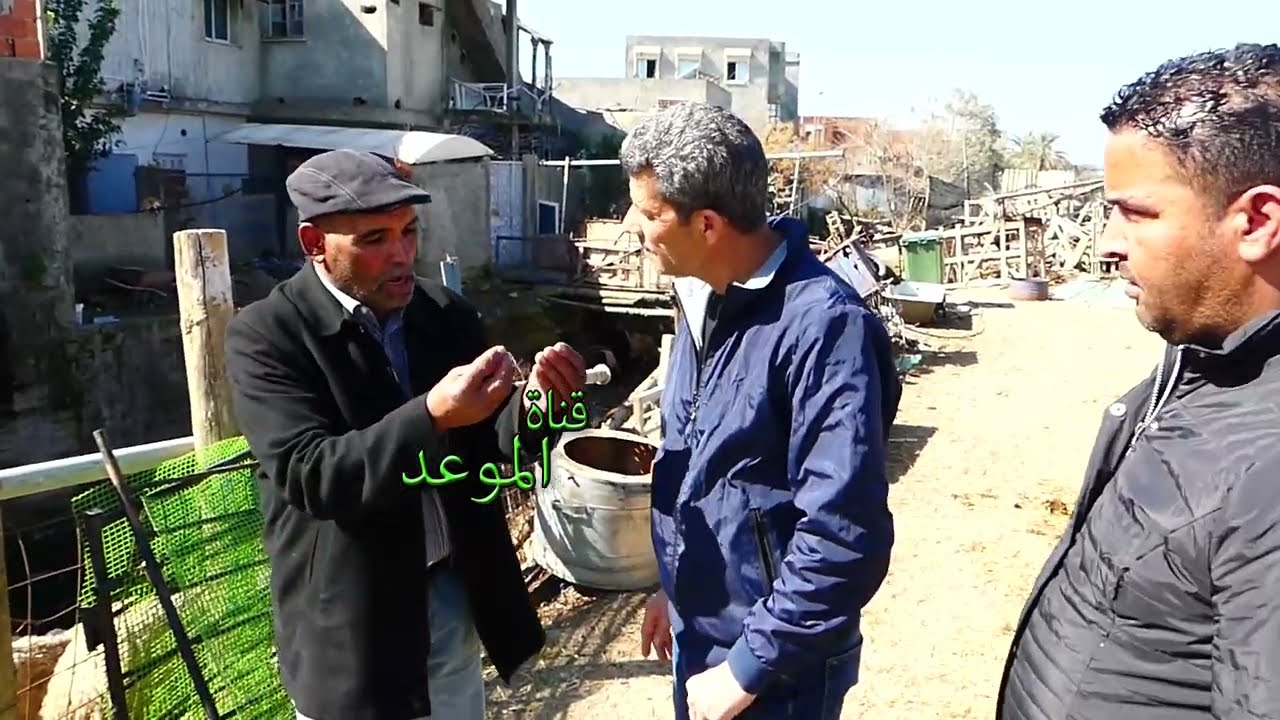 كاميرا خفية شبعة ضحك  ، متهم بسرقة علوش و كاميرا تصور فيك