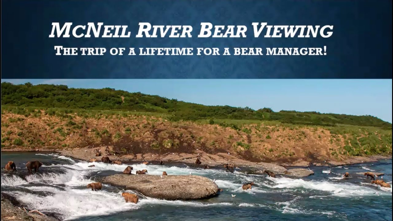 IBA Management Committee Webinar #6 - McNeil River Bear Viewing