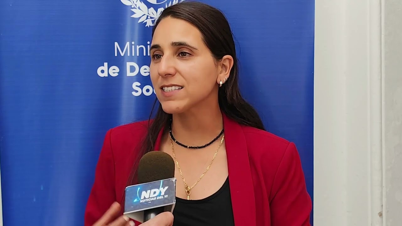 noticias del yi 14 11 25