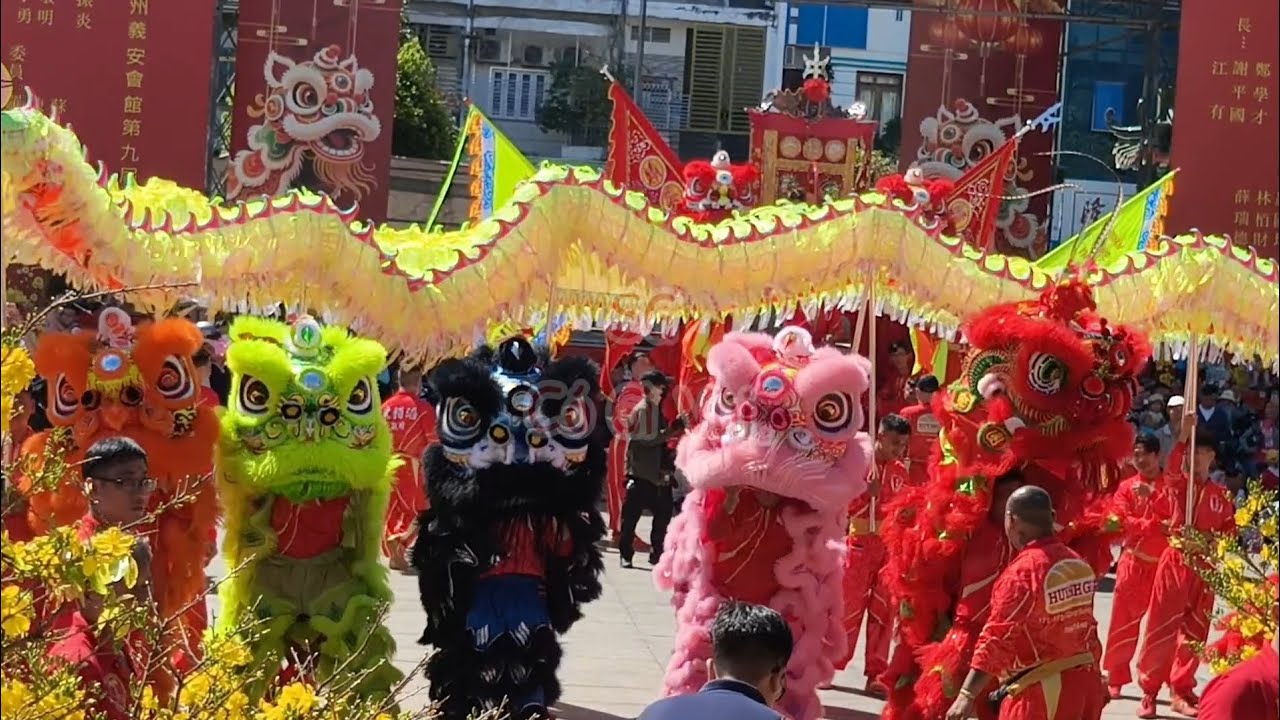 Đại hội Lân Sư Rồng trong không khí Tết ở Sài Gòn #tet2026 #mualan #muarong #lansurong #saigon 