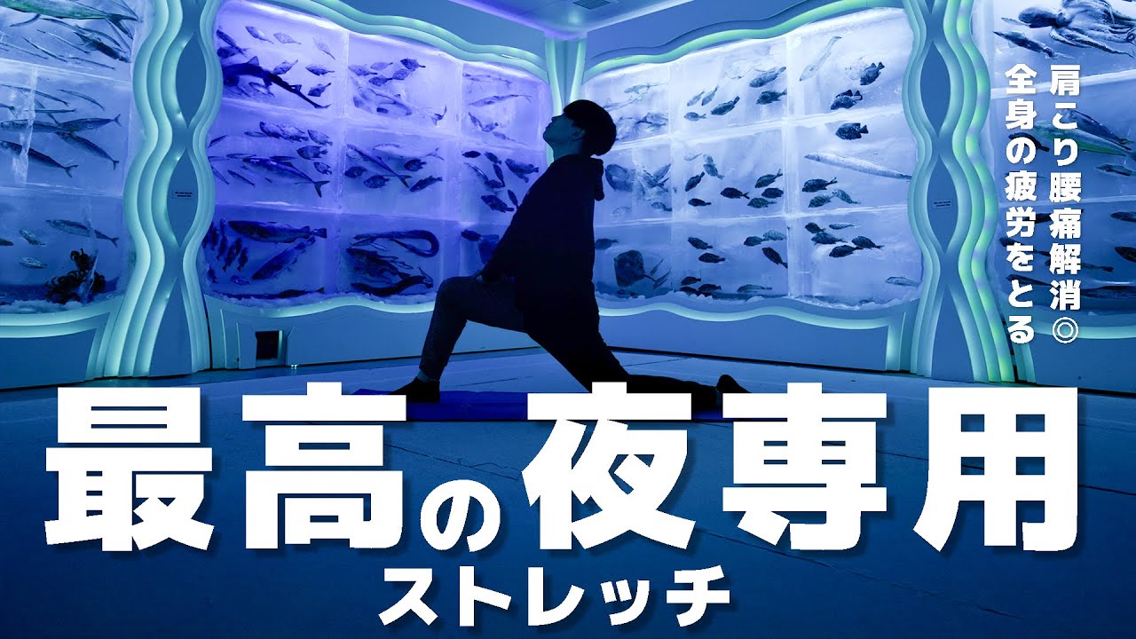 【全身がラクになる】一日の疲れを消し去る極上9分ストレッチ！【最高の夜専用 in氷の水族館（宮城県気仙沼市）】