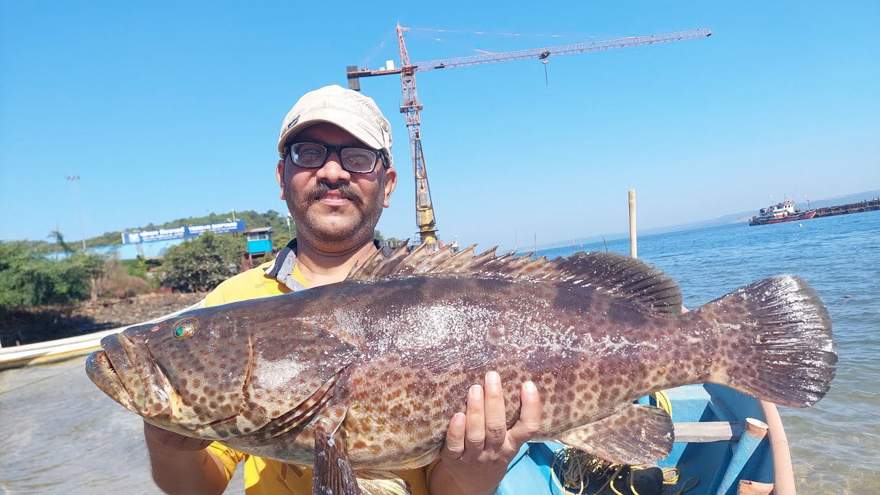 होडीमधून काढले🎣 ट्रॉलिंग करून दोन गोबरे🐠 मासे #fishing #rod fishing 