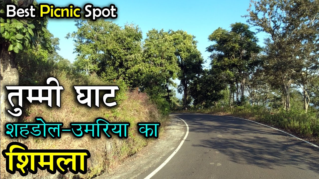 तुम्मी घाट | Tummi Ghat | Best Picnic Spot in Shahdol