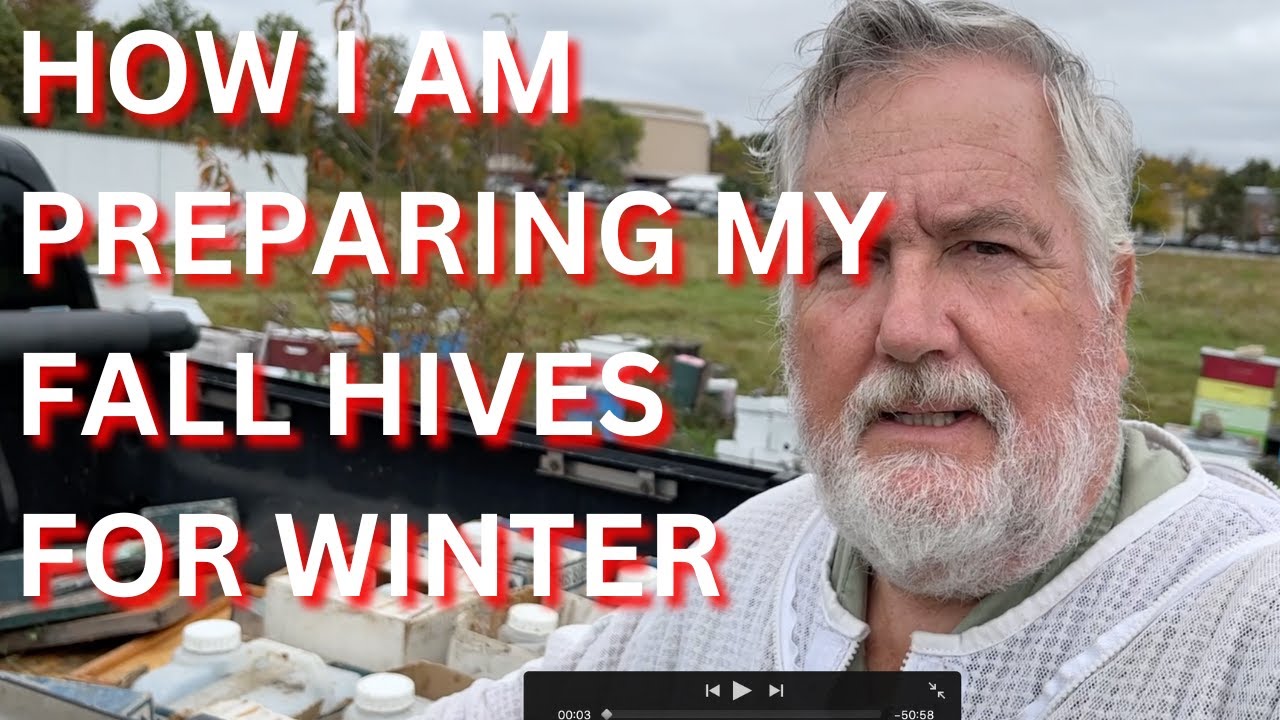 How I am preparing my Fall hives for Winter