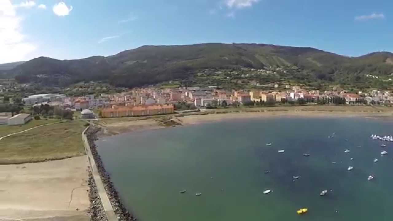 Cariño 2014