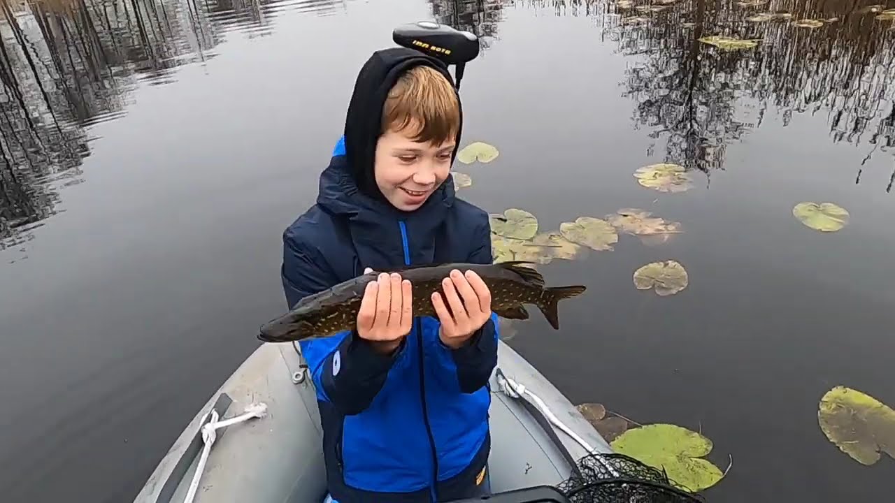 Carstenlures silikoninių gumų testavimas bei, gražių margašonių žukle