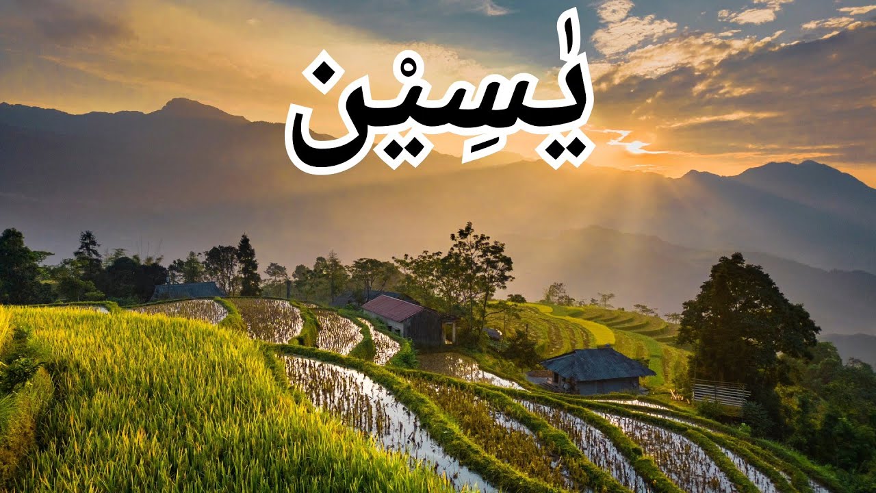 Surah Yaseen || Surah Rahman || Dil Ko Sukoon Dene Wali Tilawat || daily surah Yasin & surah rahman 