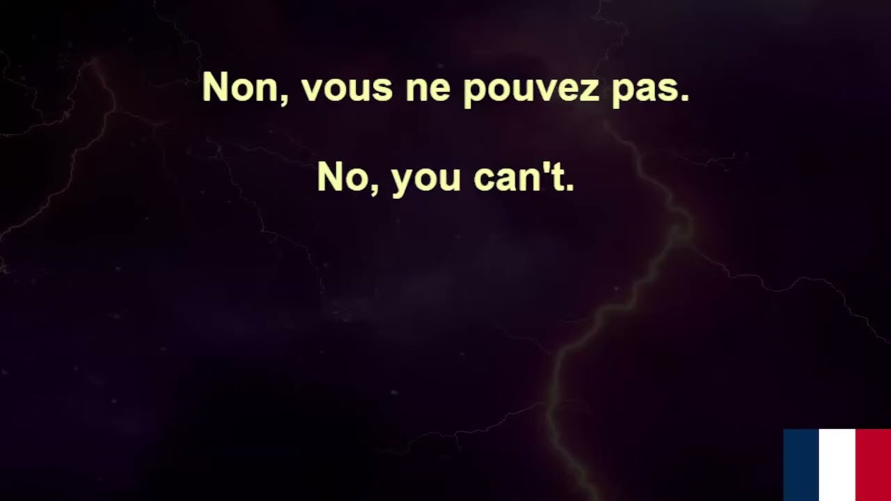 60,000 French Sentences #FrenchVoiceGarden 16