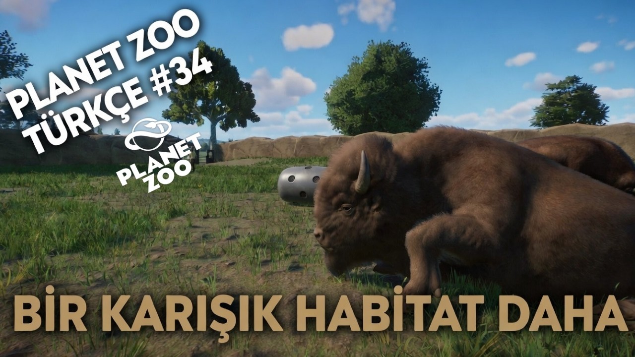 BİZON VE ANTİLOPLAR ANLAŞIR MI ?  |  PLANET ZOO TÜRKÇE #34