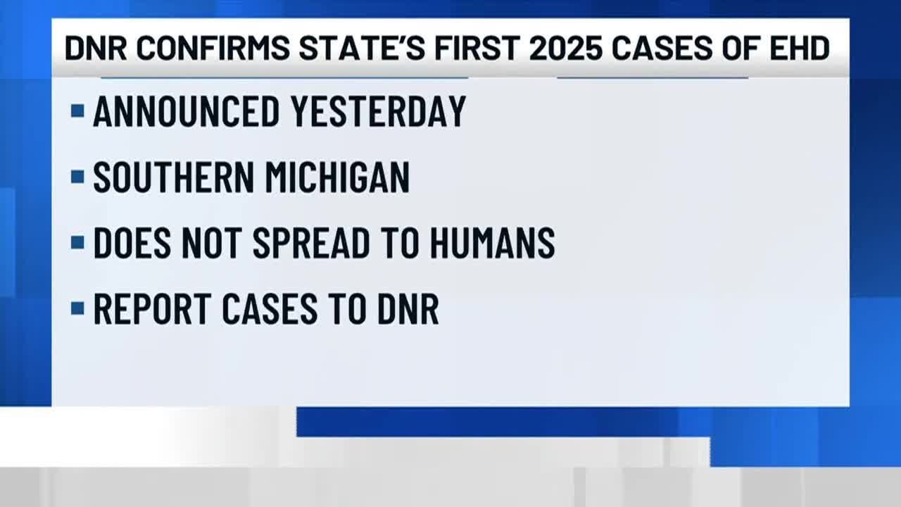 DNR confirms state&rsquo;s first 2025 cases of EHD