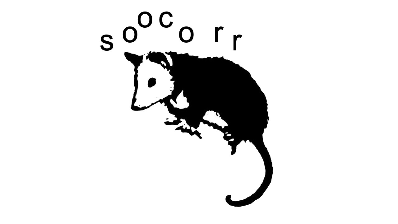 Socorro - Solo Contra Todos (Liverpool | 14FEB26)