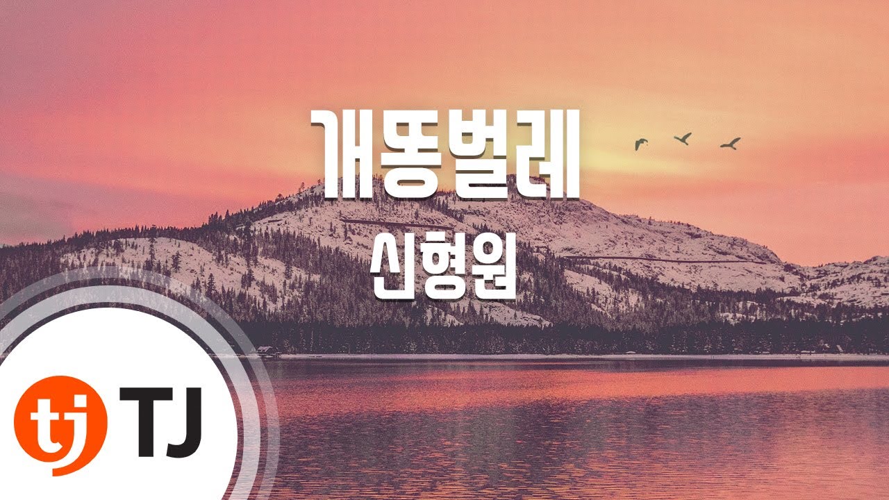 [TJ노래방] 개똥벌레 - 신형원 / TJ Karaoke