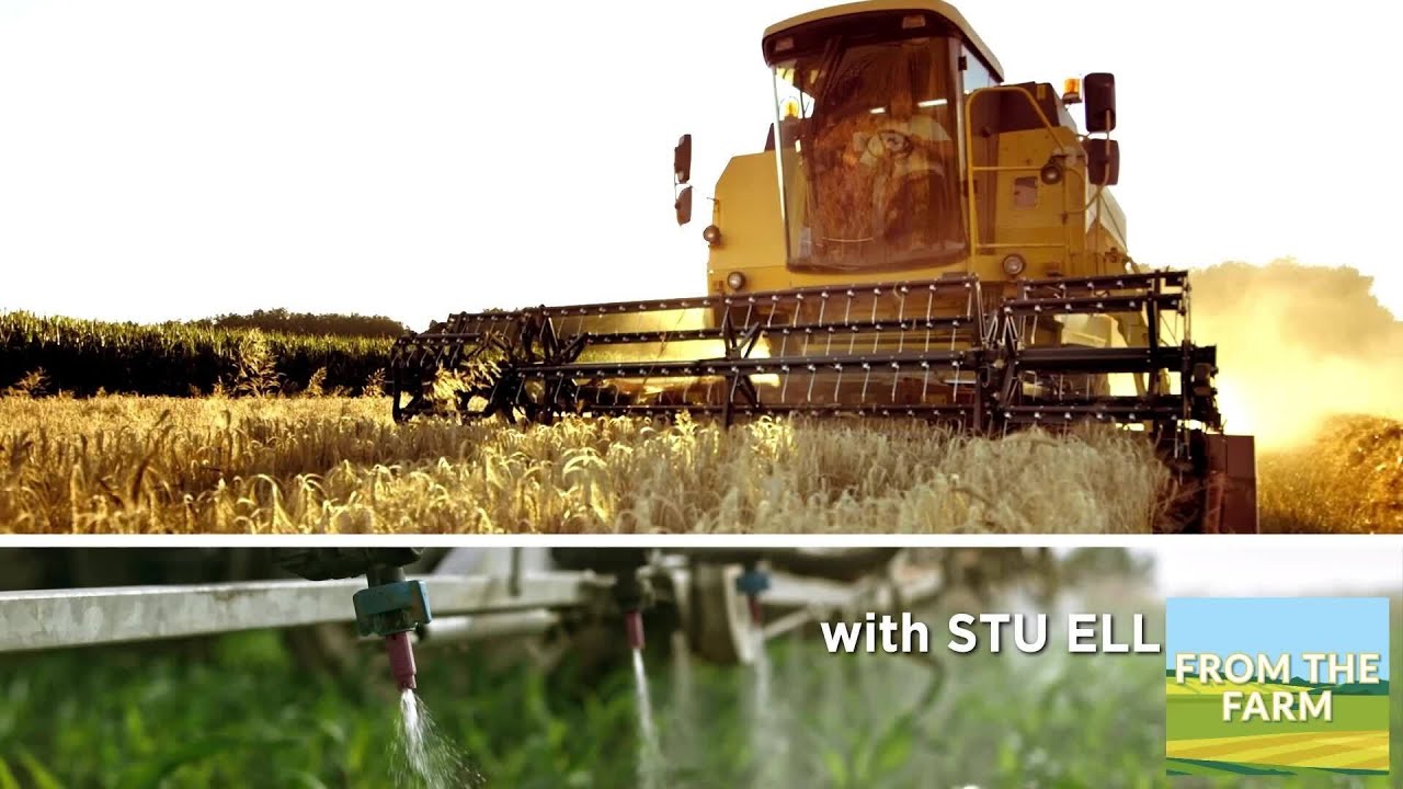 From the Farm | Episode 14