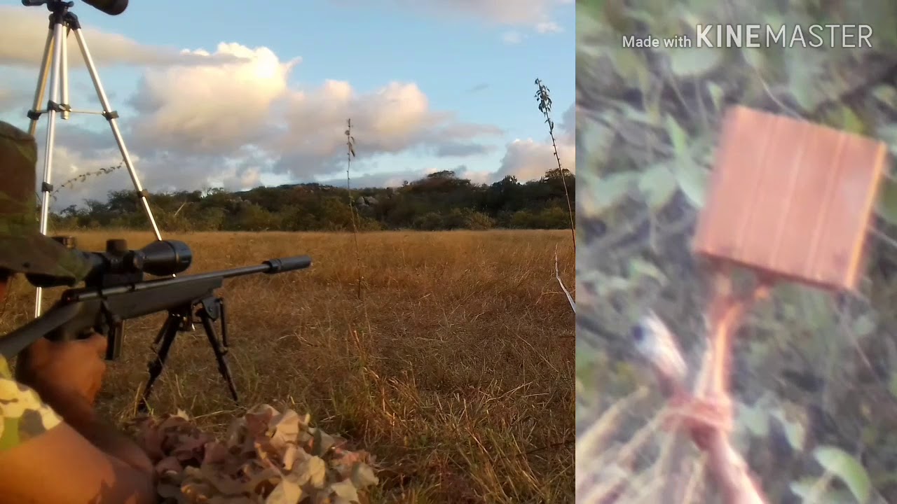 #Rifle 8122 22LR,a 100 metros quebrando tijolos.
