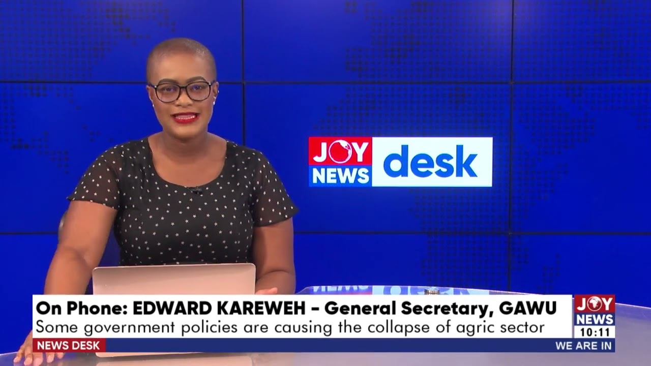 State of Ghana&rsquo;s Economy: Assessing government&rsquo;s pledge to reduce importation - News Desk on JoyNews