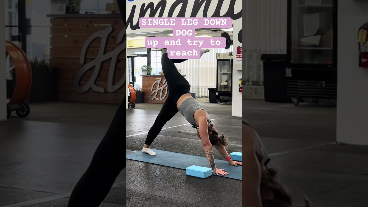Single Leg Down Dog | Hamstring & Hip Opener 