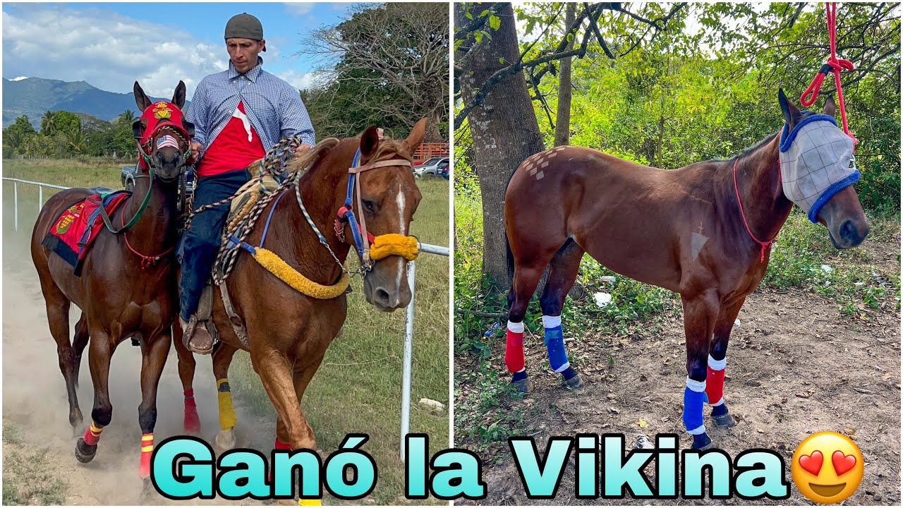 😱🐎Volvimos a llevar a la viki a las pistas miren como nos fue esta vez 😱🐎