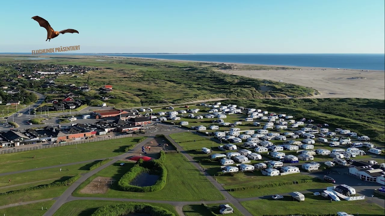 Flughunde über Römö Danmark