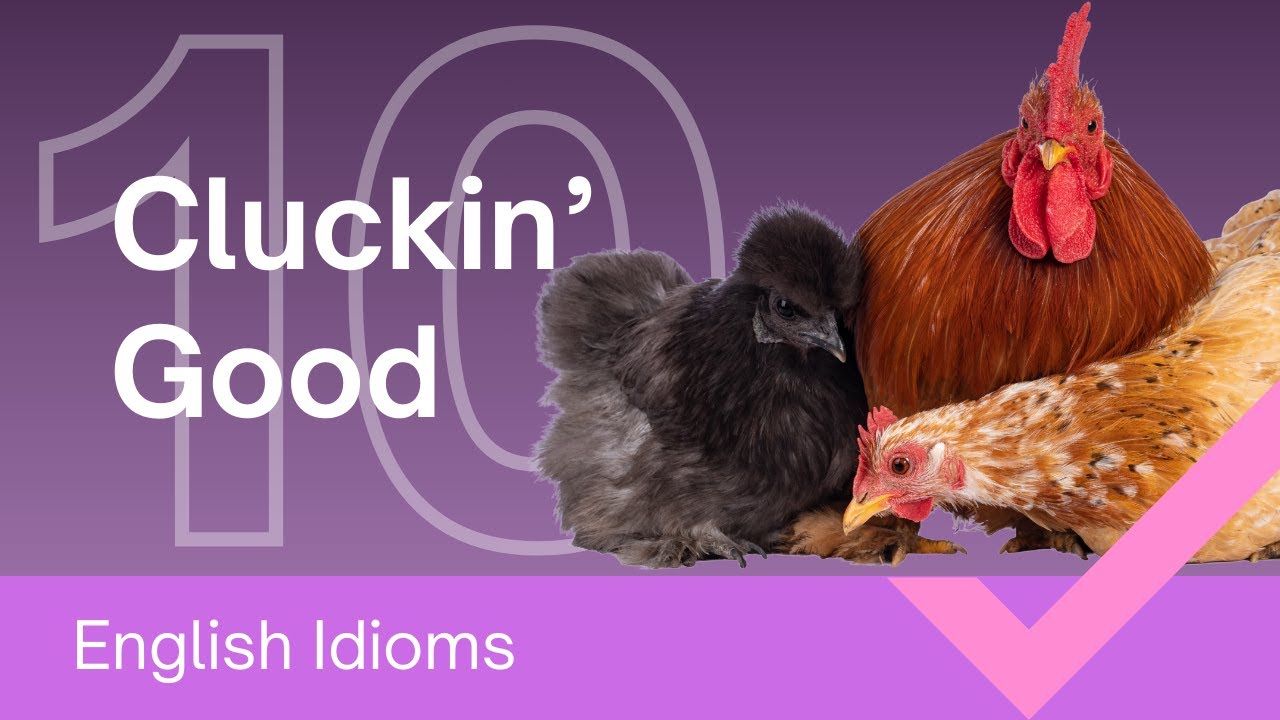 Chicken Idioms That Aren’t About Chickens | English Idioms for Real Conversations