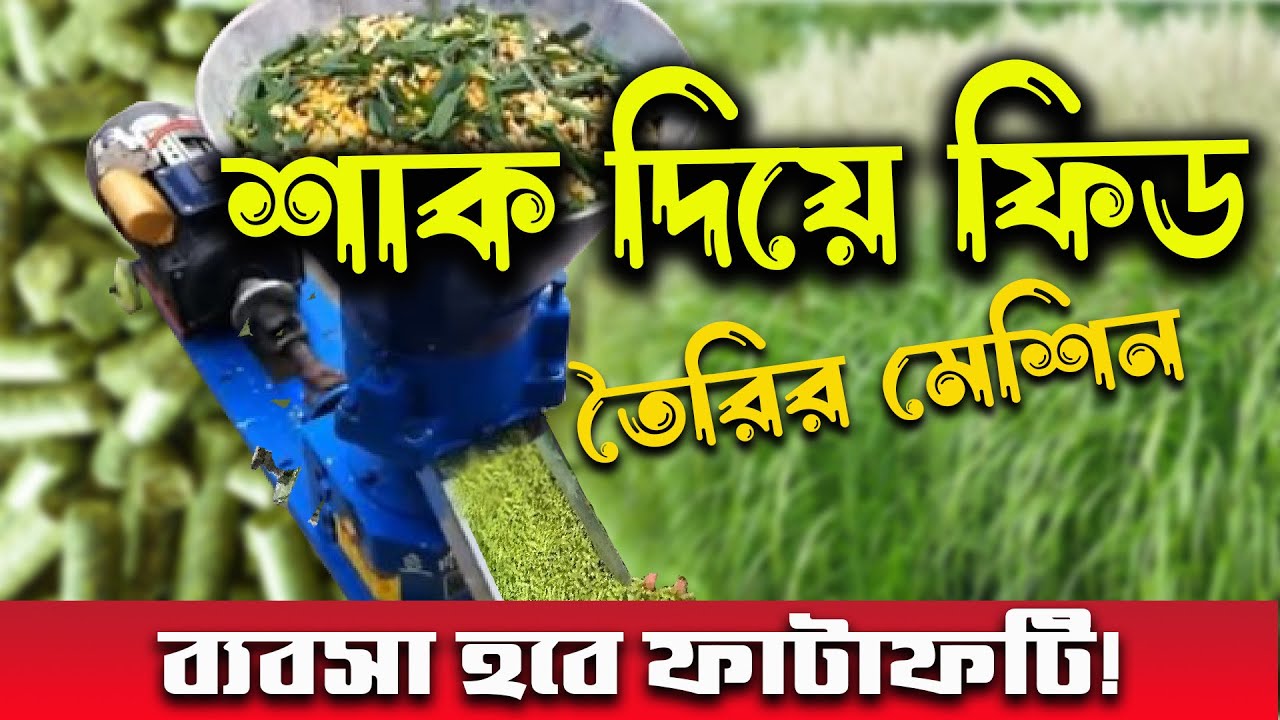 এবার কলমি শাক ও ঘাস দিয়েই মুরগী ও গরু-ছাগলের ফিড তৈরি করলাম।। সোর্স অব এগ্রো