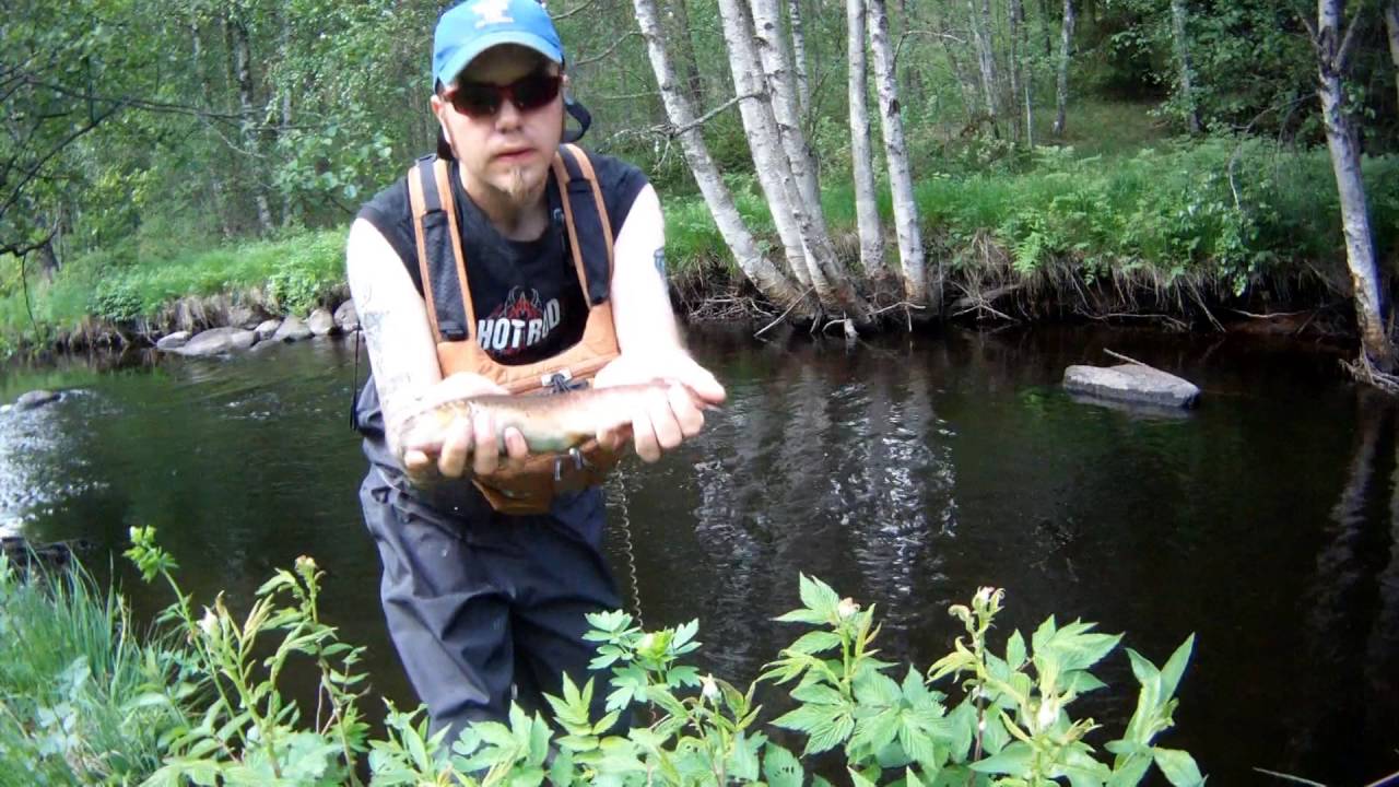 Nymf fiske i Alsterån (Nymphing in river Alsterån) Czechnymphing sweden