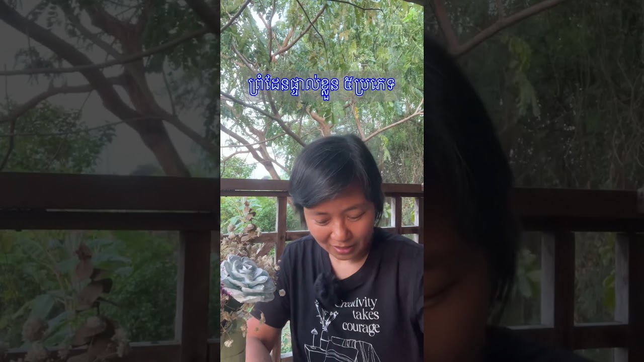 ព្រំដែនផ្ទាល់ខ្លួន ៥ប្រភេទ 