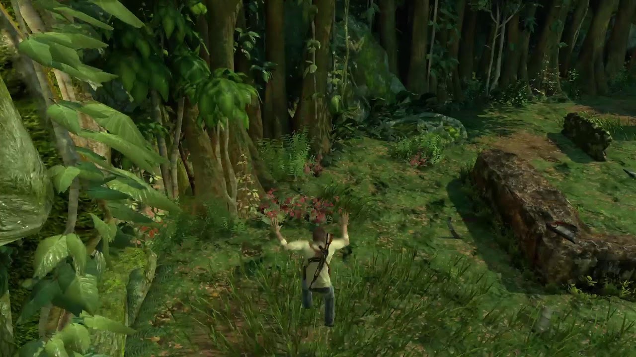 Uncharted platinum cleanup part 2